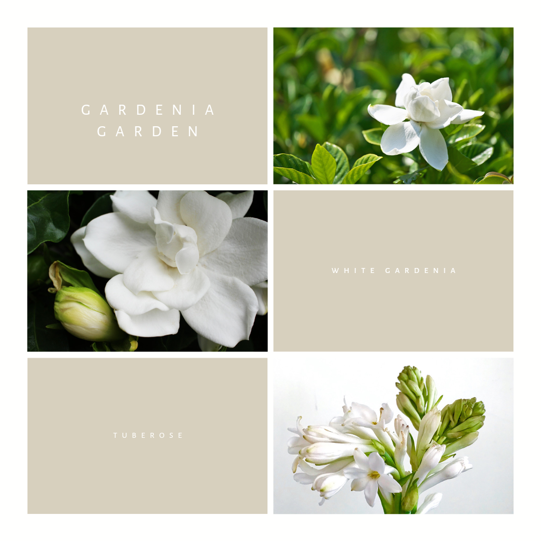 Gardenia Garden