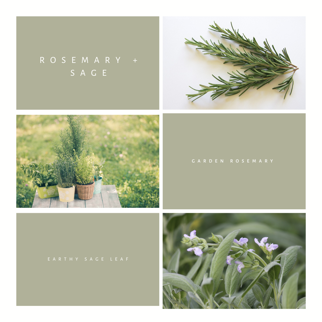Rosemary + Sage