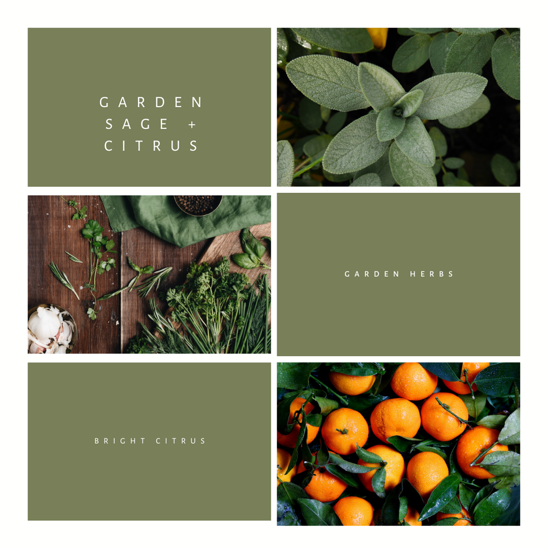 Garden Sage + Citrus